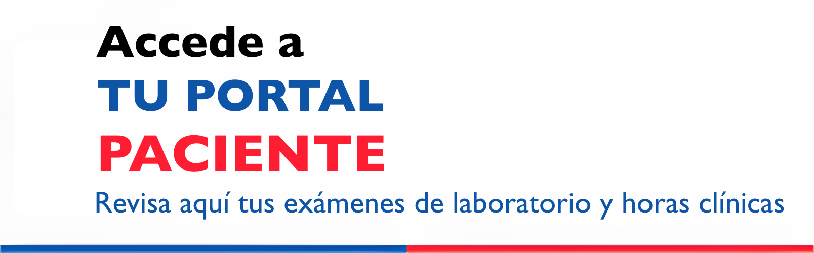 Portal Paciente